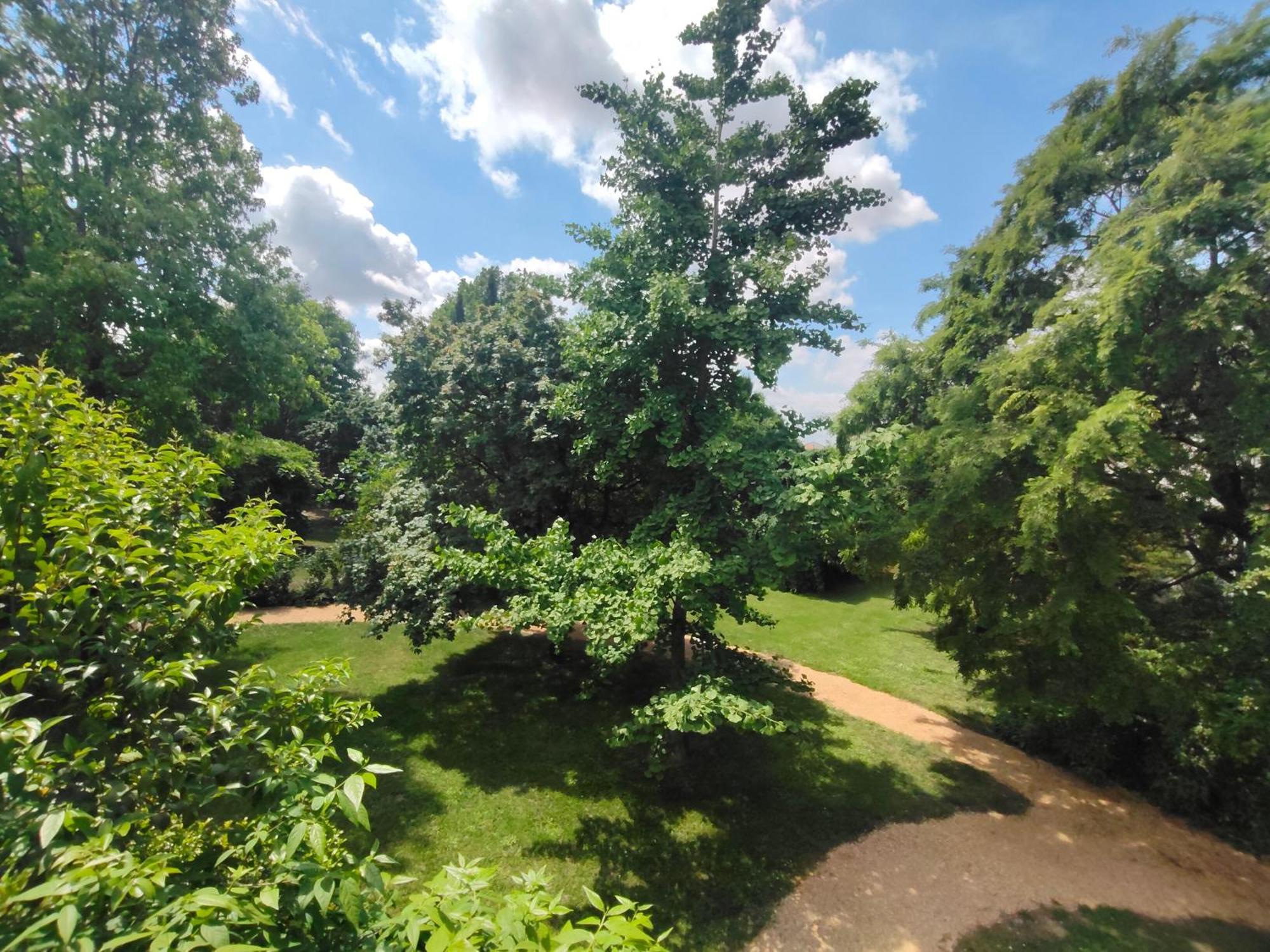 Casale Del Leon Villa Dolo Dış mekan fotoğraf